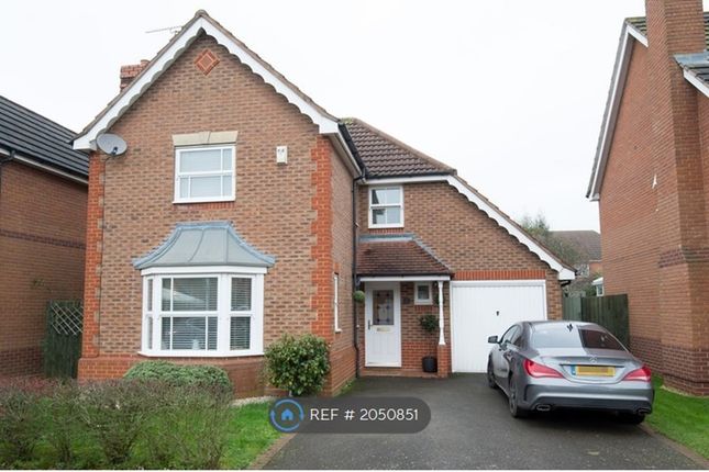 Detached house to rent in Robinia Close, Lutterworth