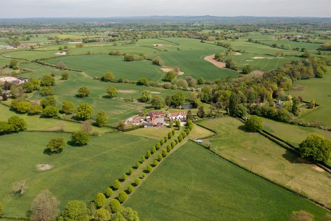 Buddileighfarm-48.Jpg