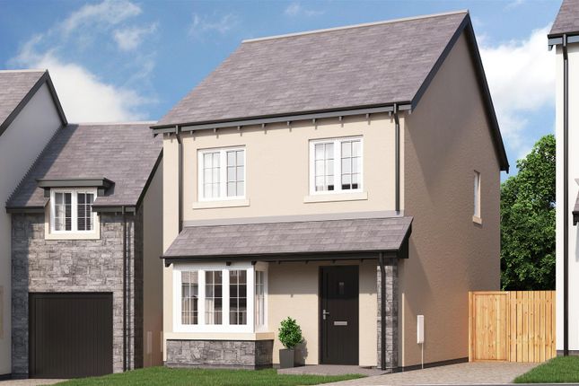 Thumbnail Detached house for sale in Plot 4, Burlington Rise, Kirkby-In-Furness