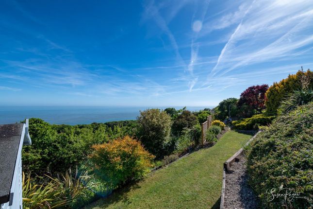 23 St. Albans Gardens, Ventnor photo 4