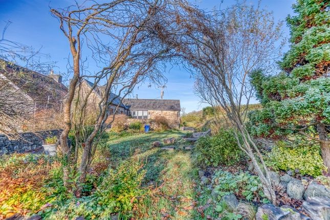 _Dsc9498_Hdr.Jpg