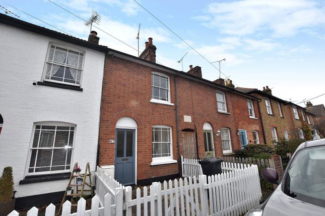 Terraced house to rent in Tenterfield Road, Maldon