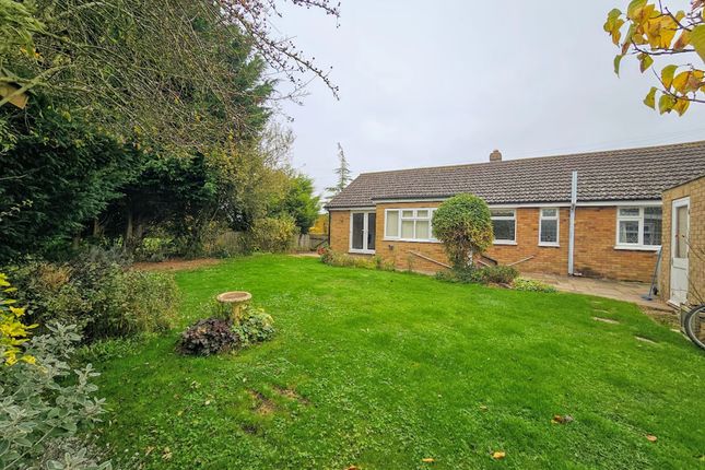 Adelaide Grange Lane, Louth photo 2