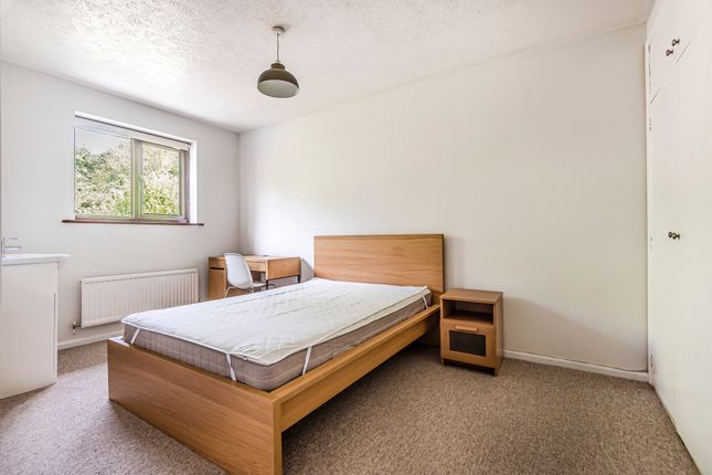 Room to rent in Honeysuckle Close, Winchester