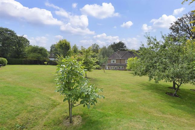 Badgers Mount, Hoe Lane, Abinger Hammer photo 4