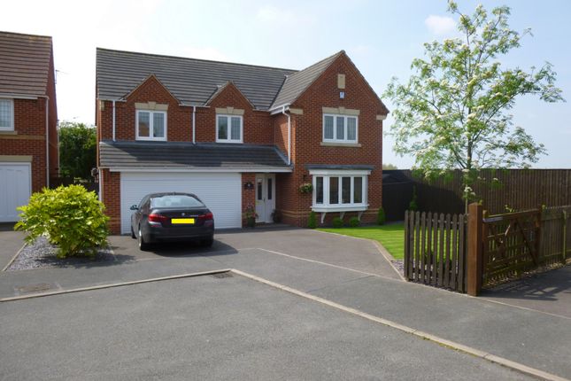 Thumbnail Detached house for sale in Queen Victoria Drive, Swadlincote