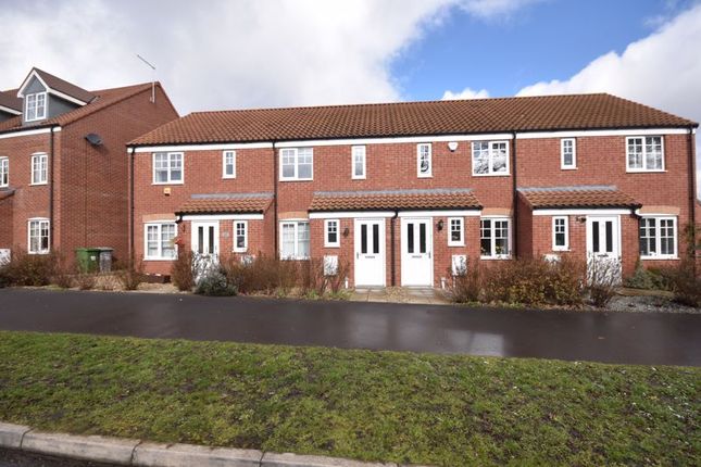 Thumbnail Terraced house to rent in Egyptian Goose Road, Sprowston, Norwich