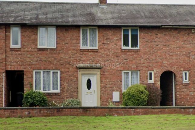 Thumbnail Terraced house to rent in Churchill Avenue, Durham