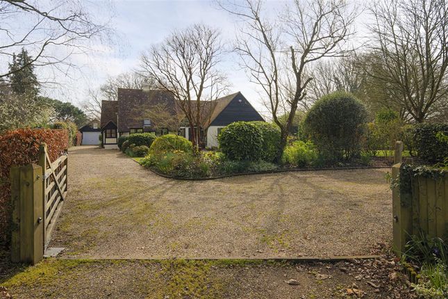 Broadacres, Canterbury photo 3