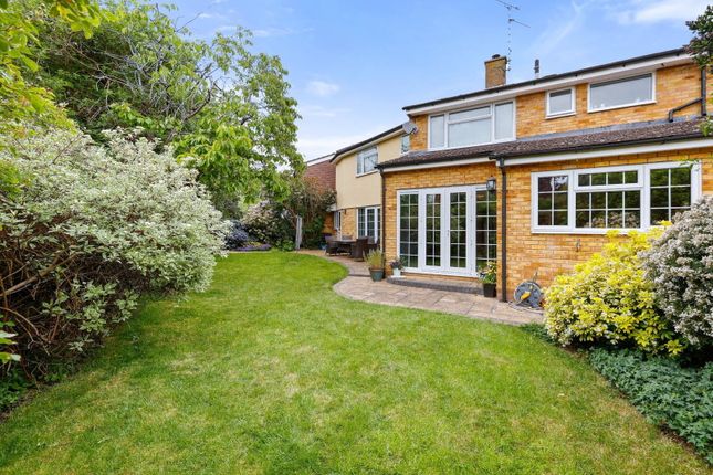 19, Heathfield Road, Chelmsford photo 4