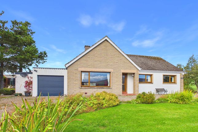 Cormuir, Cormuir, Ballindalloch photo 3