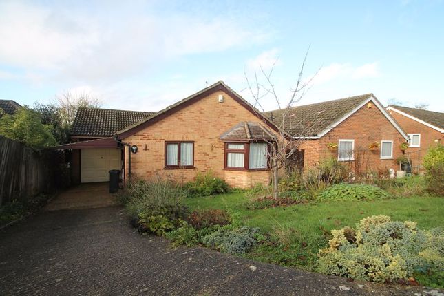 Thumbnail Bungalow to rent in Lorraine Close, High Wycombe