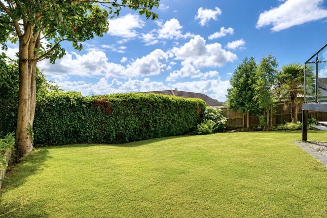 Dewberry Drive, Barnstaple photo 2