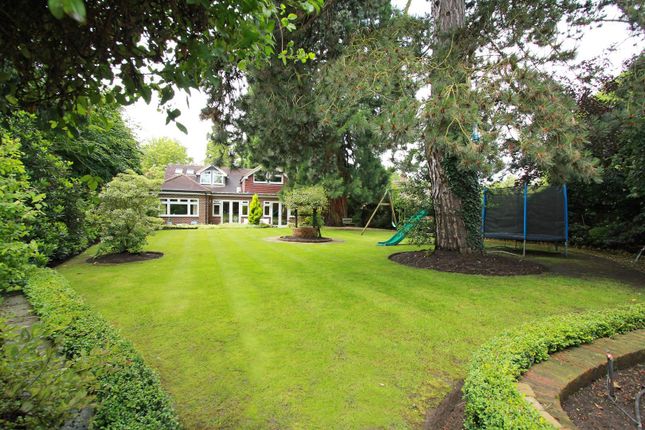 Thumbnail Bungalow to rent in Williams Way, Radlett