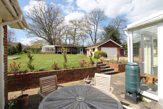 Bungalow for sale in Witley, Godalming, Surrey