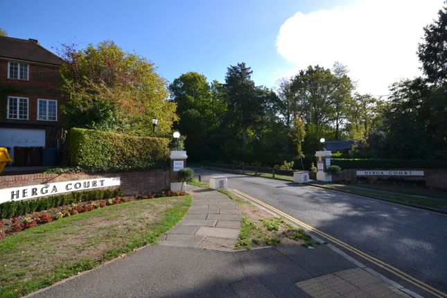 Sudbury Hill, Harrow on the Hill photo 3