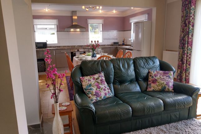 6, Bangor photo 5