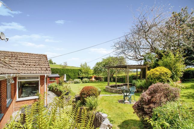 Detached bungalow for sale in Clapham, Exeter