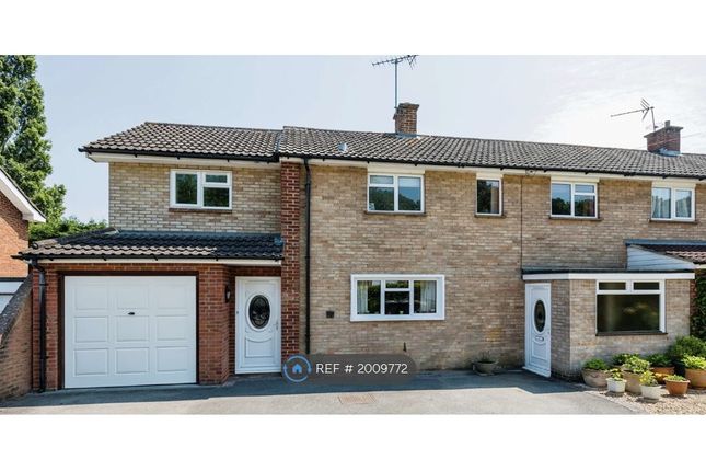 Semi-detached house to rent in Applegarth Avenue, Guildford