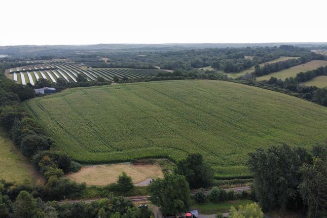 Dji_Fly_20250811_102556_277_1754904627476_Photo_Op