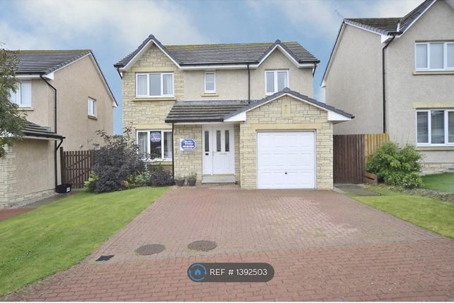 Thumbnail Detached house to rent in Brockwood Place, Blackburn, Aberdeen