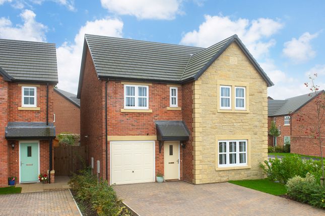 Thumbnail Detached house for sale in "Sanderson" at Englemann Way, Sunderland