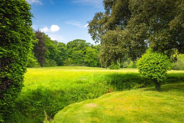 Pasture Field
