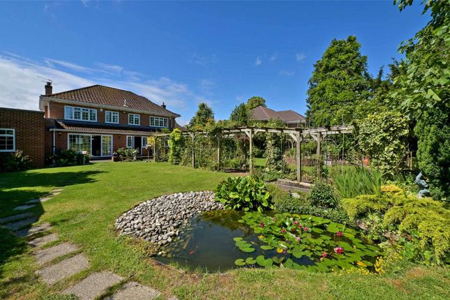 12, Hollycombe, Egham photo 2