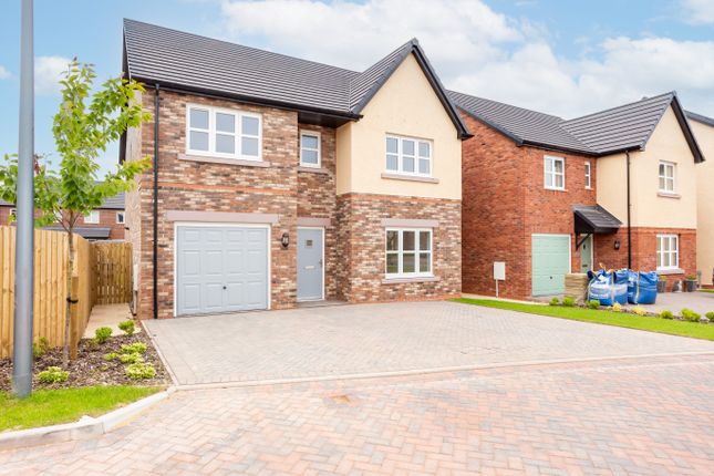 Thumbnail Detached house for sale in Wintergreen Drive, Dumfries