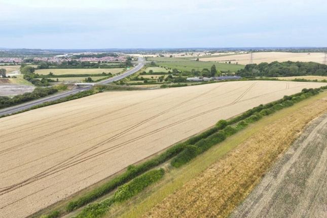 Whatsapp Image 2025-11-11 At 10.38.48 Am (1).Jpeg