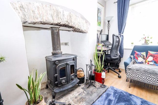 Multi Fuel Stove