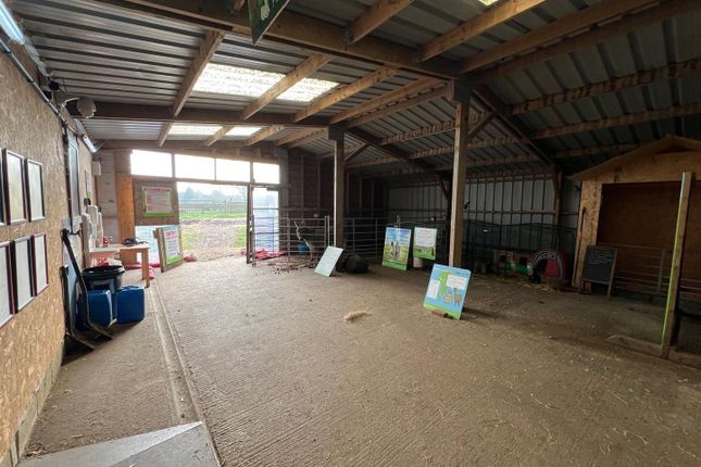 Barns at Wellow Alpaca Stud, Main Road, Wellow photo 5
