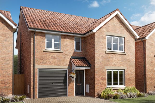Thumbnail Detached house for sale in "The Kendal" at Whitedale Road, Calverton, Nottingham