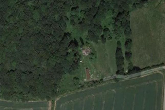 Thumbnail Land to let in The Folly, Backside Common, Guildford