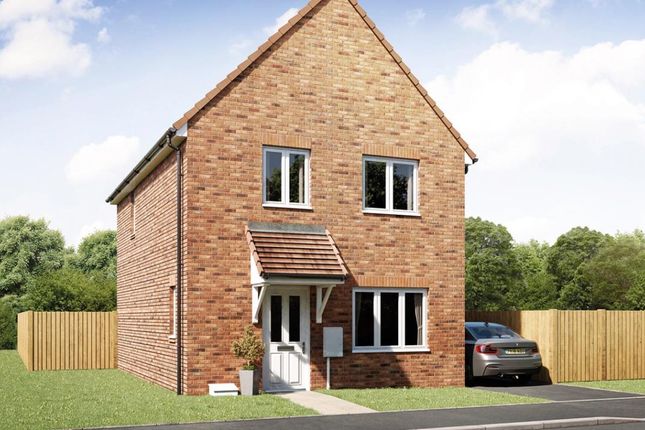 Thumbnail Detached house for sale in "Melford" at Salhouse Road, Rackheath, Norwich