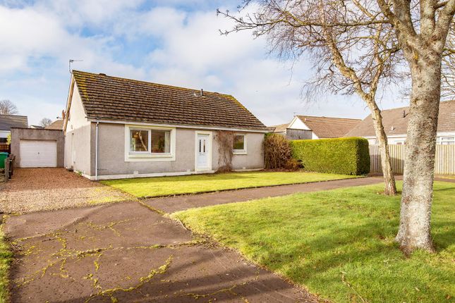 Detached bungalow for sale in Ruthven Place, St Andrews KY16