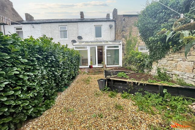 Park View, Park Road, Haltwhistle photo 3