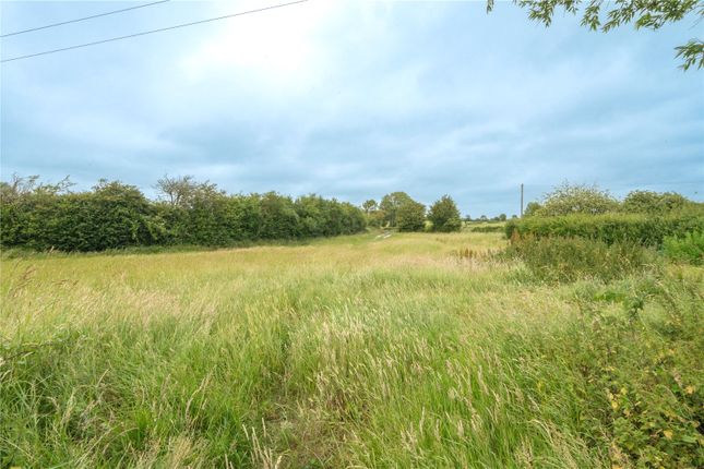 Marshfoot Farm,, Wartling, East Sussex photo 4