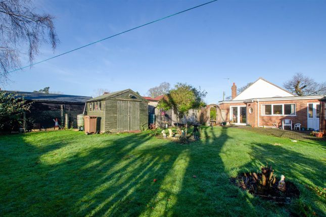 3 bed detached bungalow for sale in Station Road, Salhouse, Norwich NR13