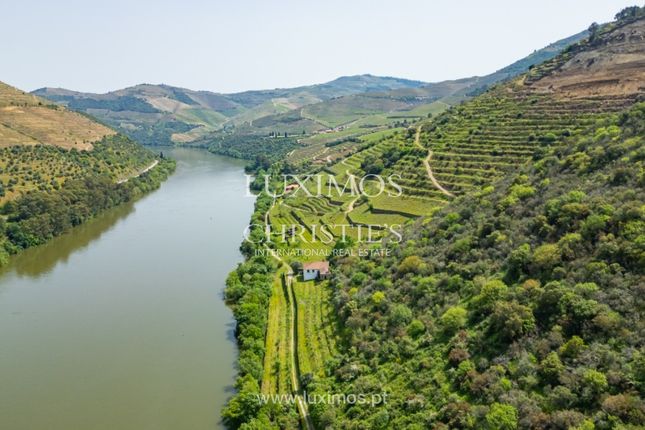 Farm for sale in Ervedosa Do Douro, 5130, Portugal