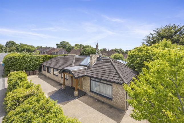 Thumbnail Detached bungalow to rent in Hangleton Lane, Hove