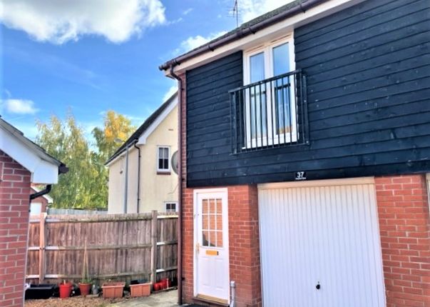Thumbnail Flat to rent in Shepherd Drive, Colchester