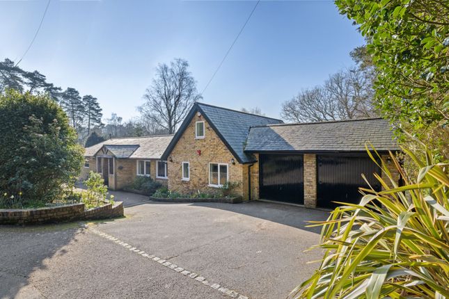 Badgers Holt Marley Lane, Haslemere photo 2