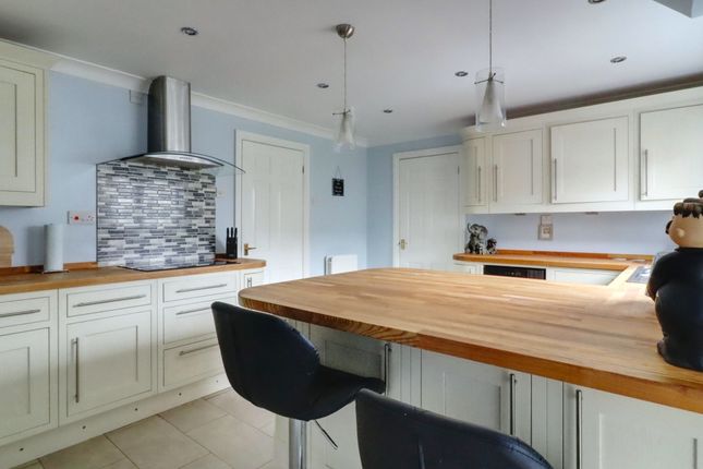 5. Kitchen 2