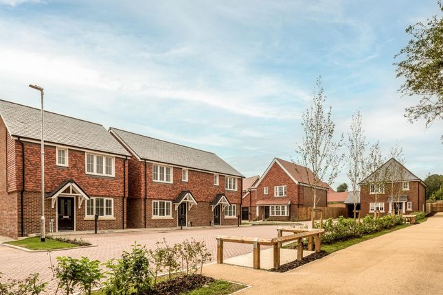 The Beacon, Number 38