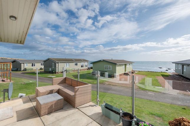 100, Sauchope Links Holiday Park, Crail photo 2