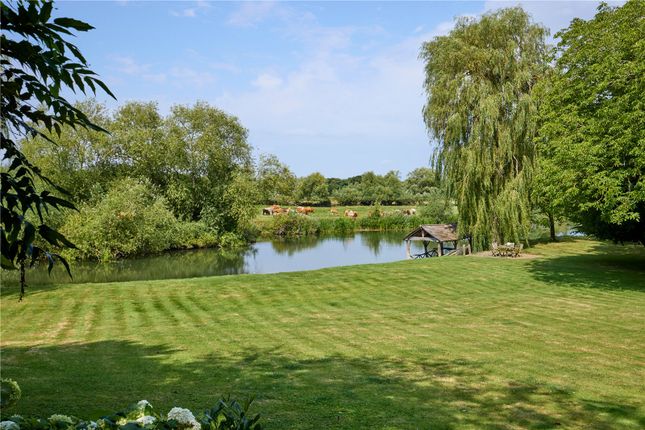 Garden And View