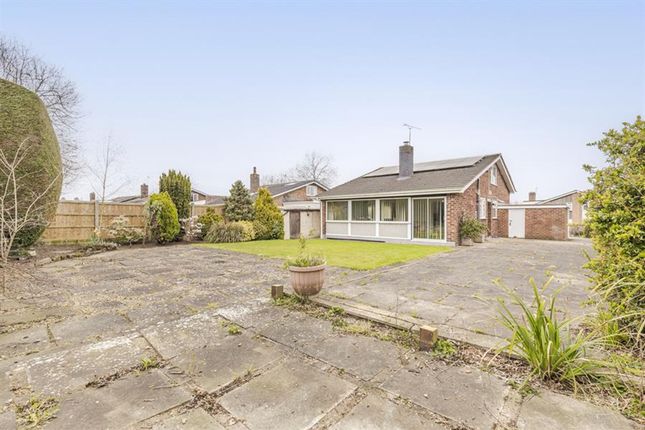54 Greenlands, Chester photo 3