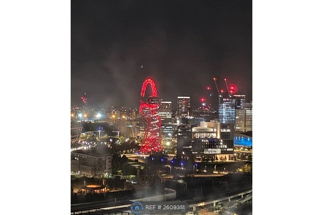 Night View Of Olympic Park