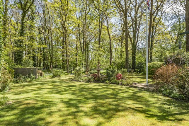 Detached house for sale in Woodland Copse, Loxwood